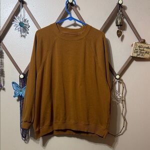 American Eagle Outfitters Tan Crewneck